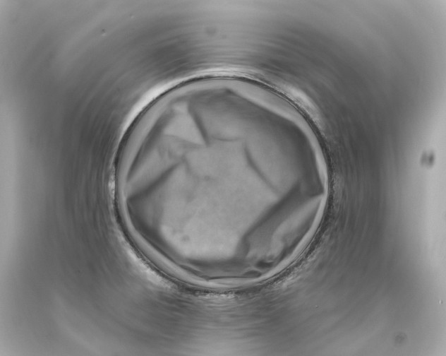 X0000093101428200710241212