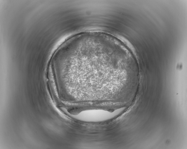 X0000093101429200710241212