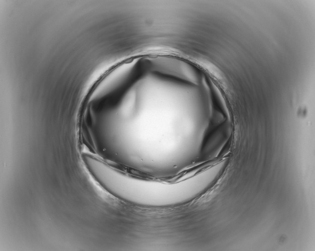 X0000093101430200710241212