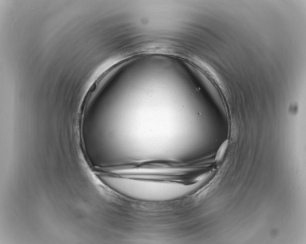 X0000093101434200710241212