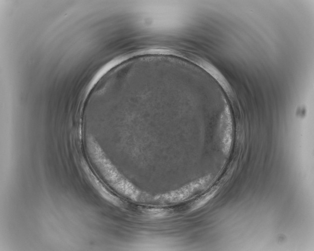 X0000093101436200710241212