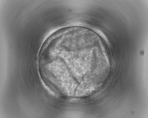 X0000093101439200710241212