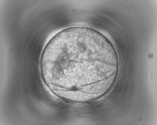 X0000093101440200710241212