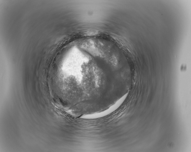 X0000093101441200710241211