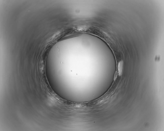X0000093101443200710241211