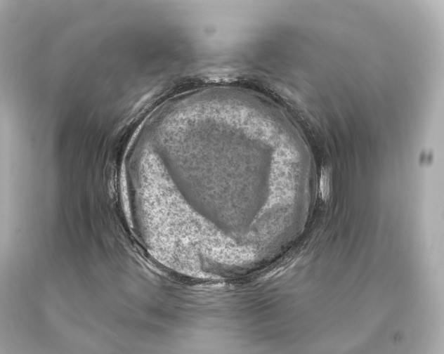 X0000093101444200710241211