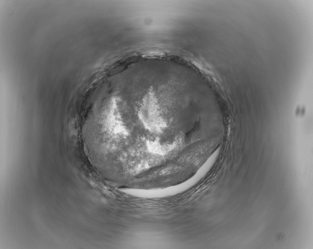 X0000093101445200710241211