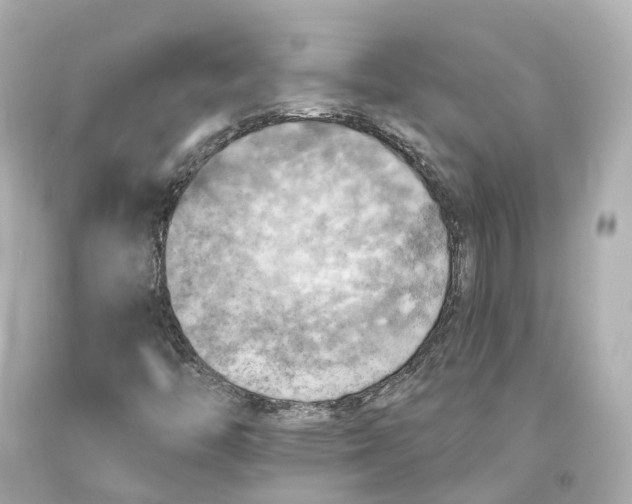 X0000093101446200710241211