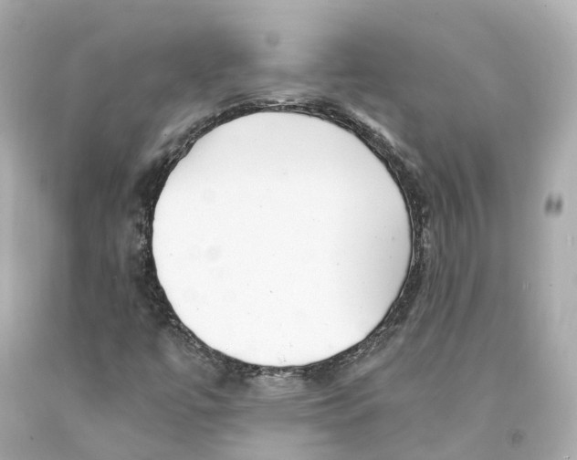X0000093101447200710241211