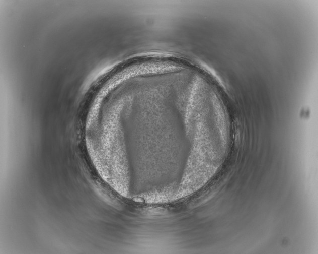 X0000093101448200710241211