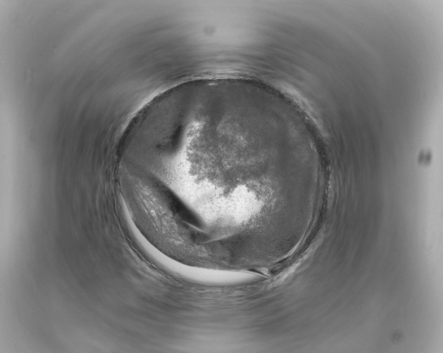X0000093101449200710241211