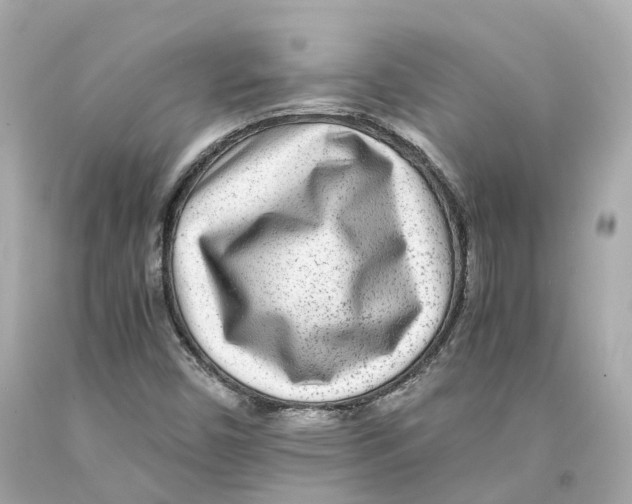X0000093101450200710241211