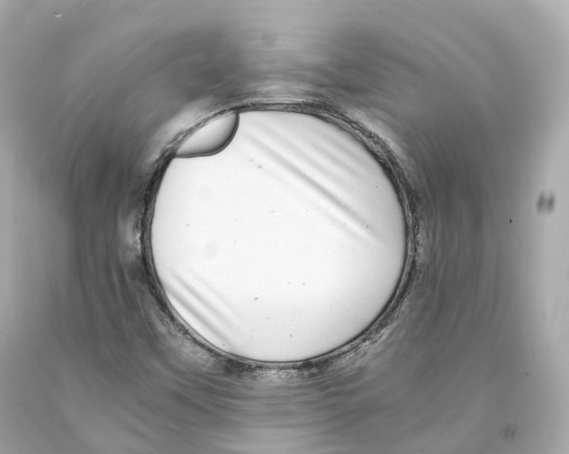 X0000093101451200710241211