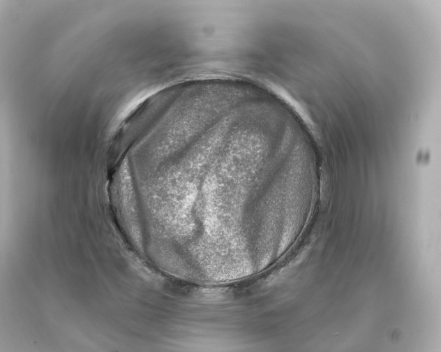 X0000093101453200710241211