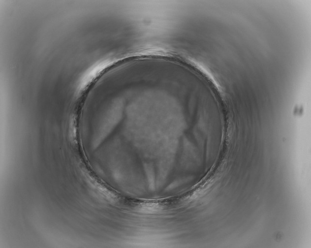 X0000093101455200710241211