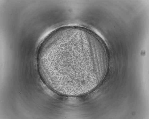 X0000093101456200710241211