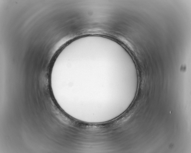 X0000093101458200710241211