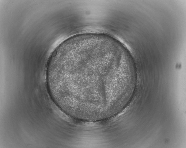 X0000093101459200710241211