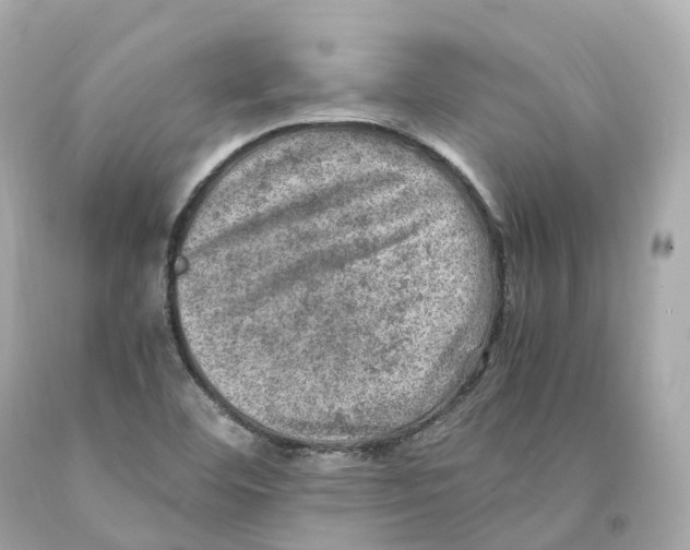 X0000093101460200710241211