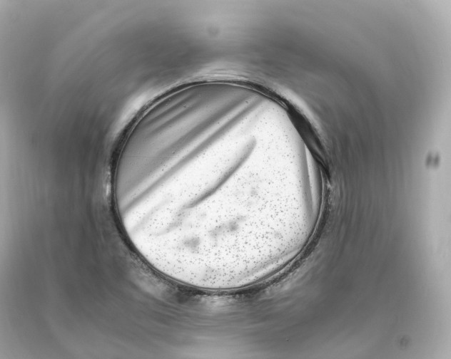 X0000093101461200710241211