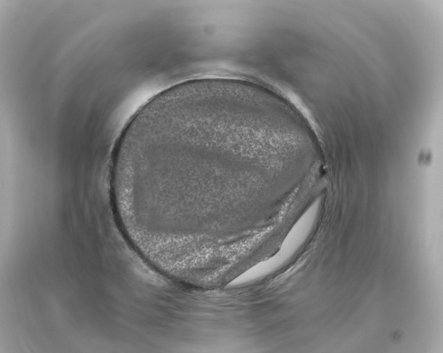 X0000093101463200710241211