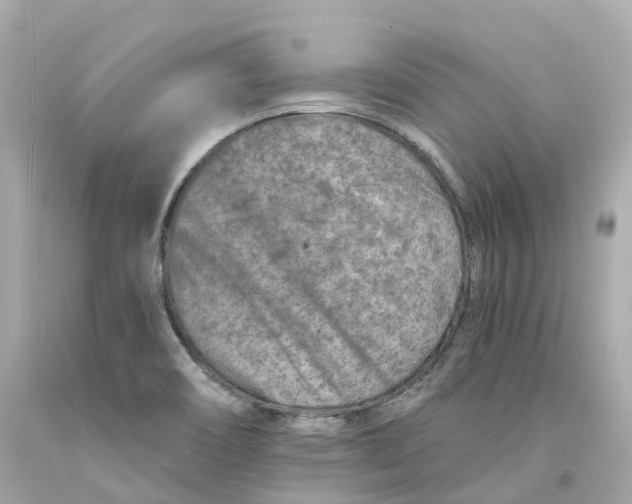 X0000093101466200710241211