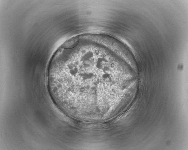 X0000093101467200710241211