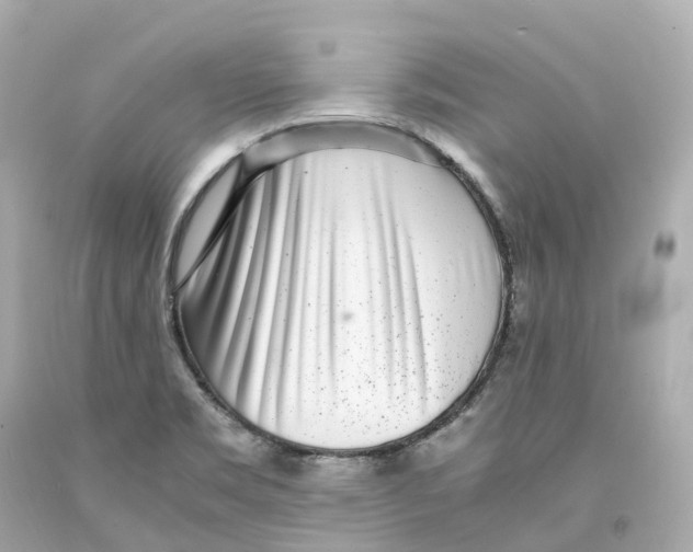 X0000093101469200710241211