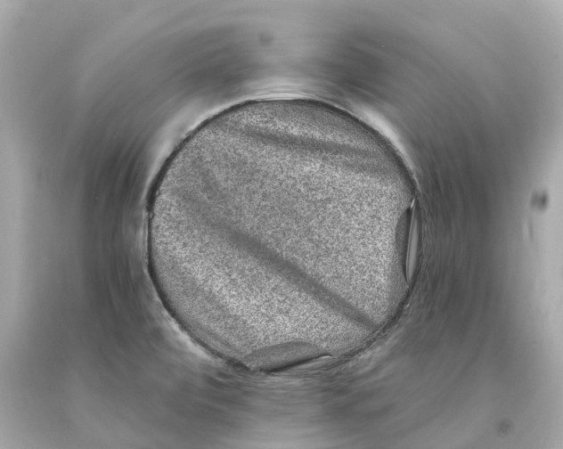 X0000093101472200710241211