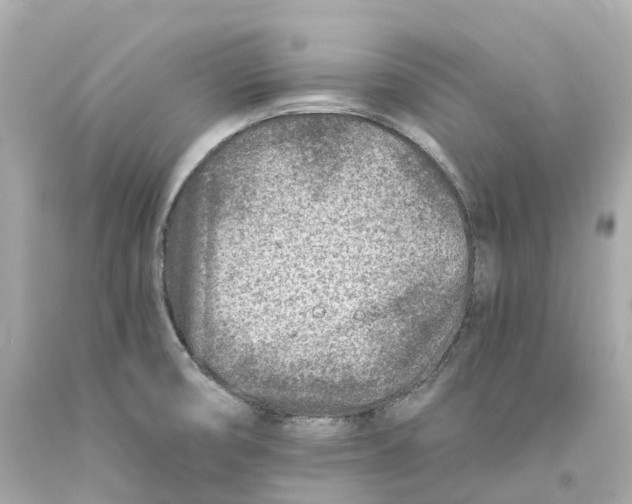 X0000093101474200710241211