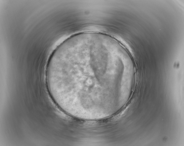 X0000093101477200710241211