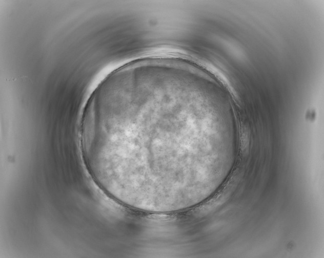 X0000093101478200710241211