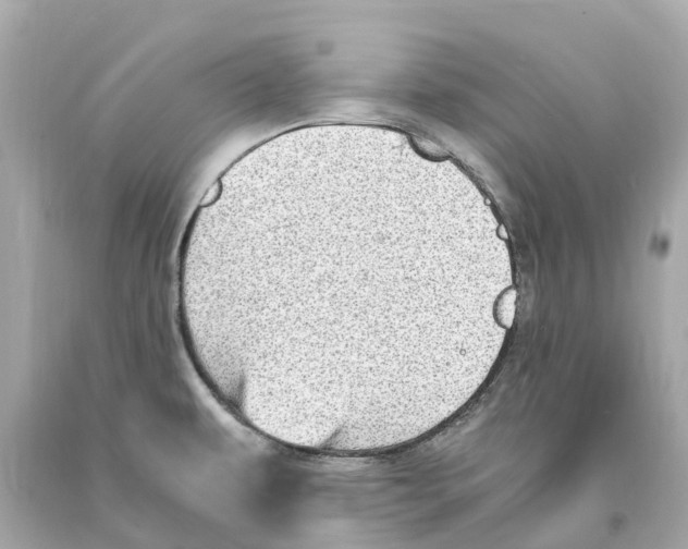 X0000093101479200710241211