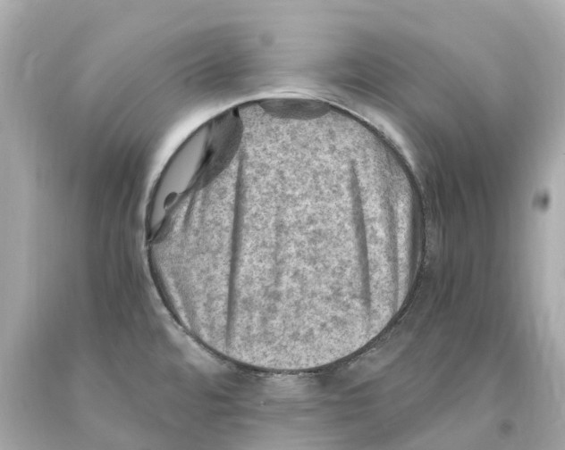 X0000093101480200710241210