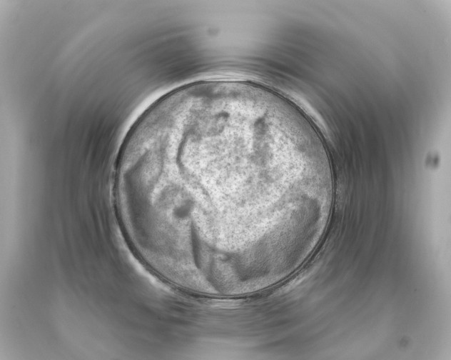 X0000093101484200710241210