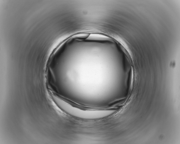 X0000093101485200710241210