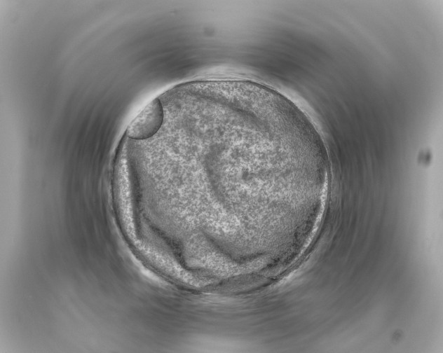 X0000093101486200710241210