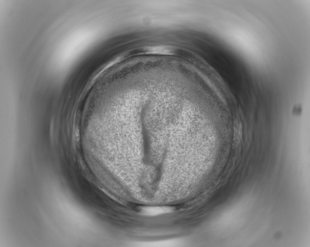 X0000093101487200710241210
