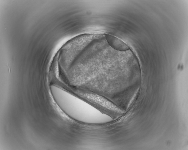 X0000093101488200710241210