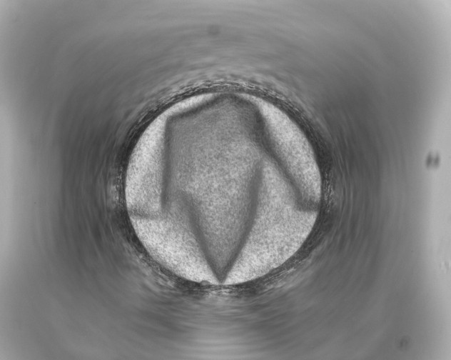 X0000093101490200710241210