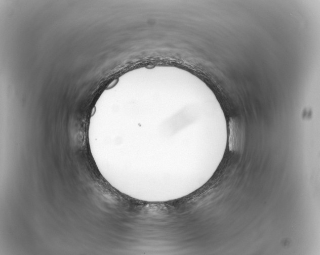 X0000093101491200710241210