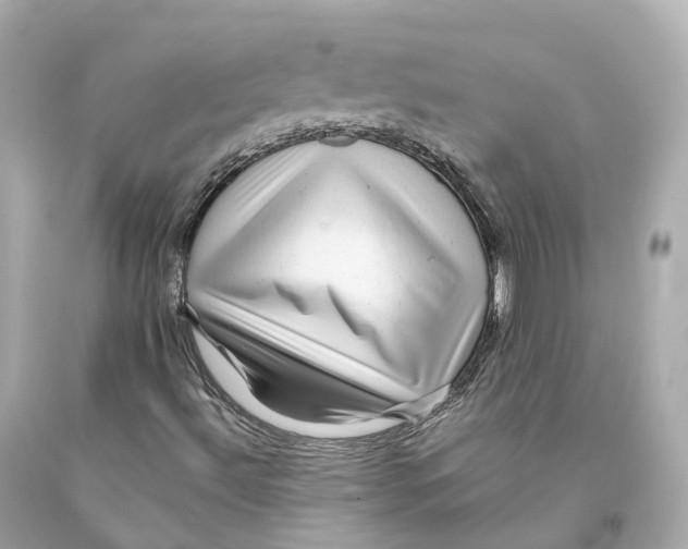 X0000093101492200710241210