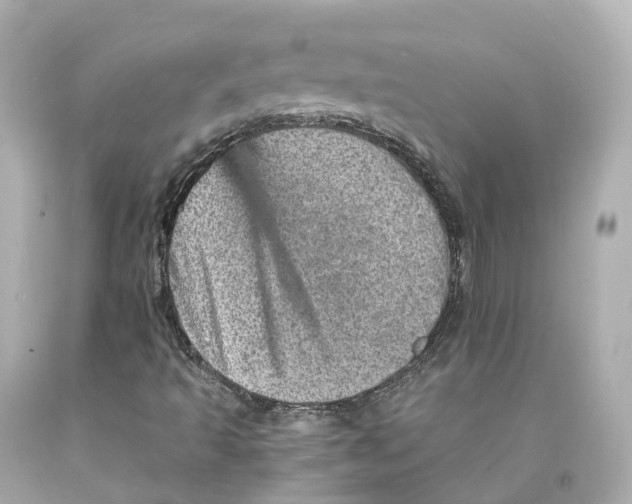 X0000093101493200710241210