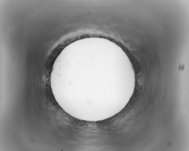 X0000093101495200710241210