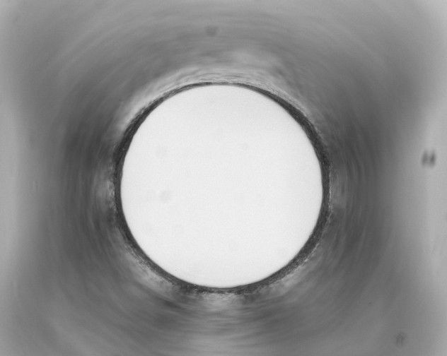 X0000093101498200710241210