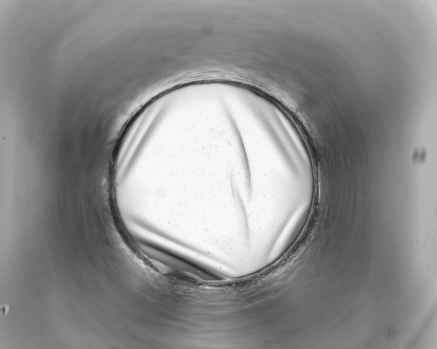 X0000093101500200710241210
