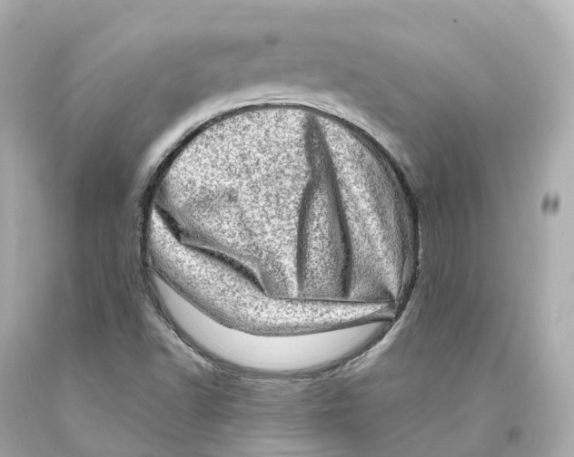 X0000093101502200710241210