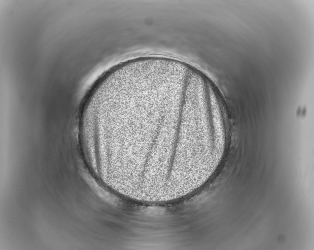 X0000093101503200710241210