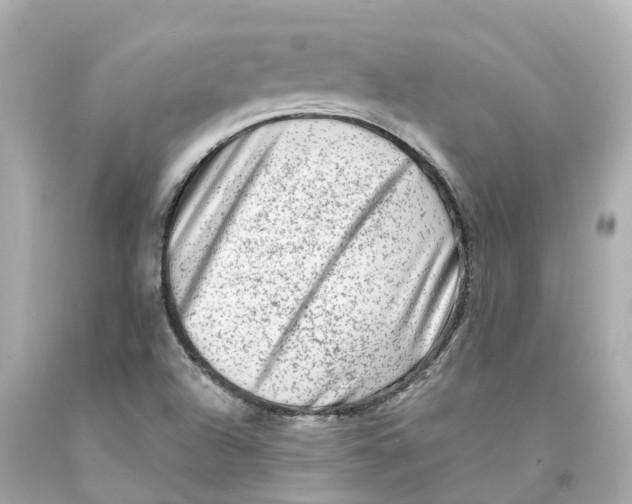 X0000093101504200710241210