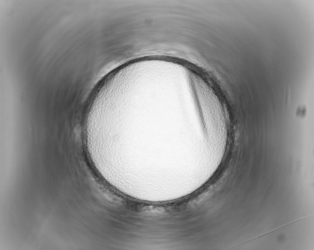 X0000093101505200710241210